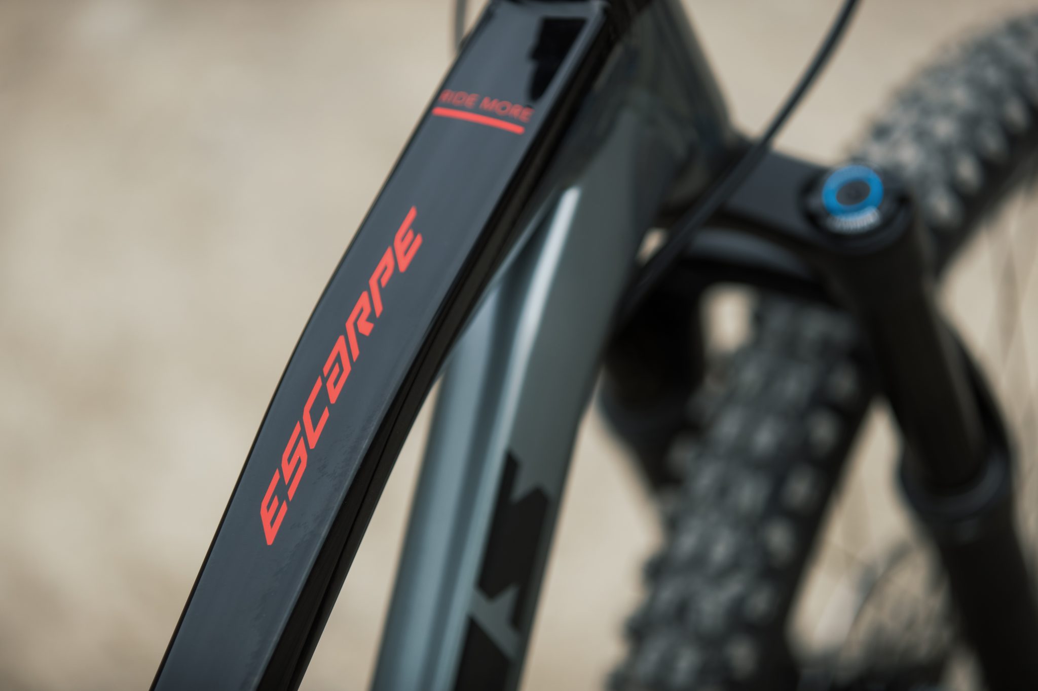 Vitus 2019 Mountain Bike Range