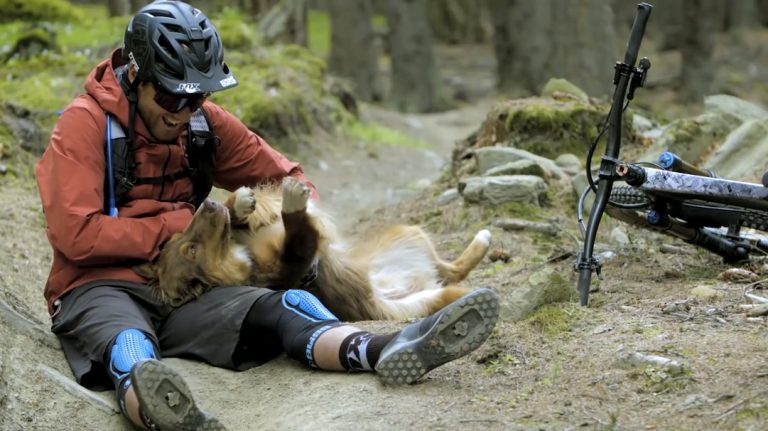 Paws & Wheels
