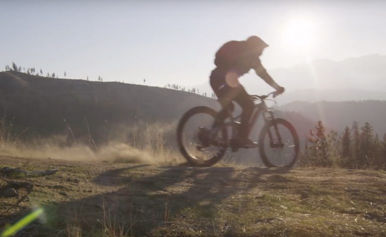 The Endless Migration // Featuring Graham Agassiz