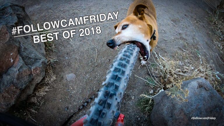 Best of FollowCamFriday 2018