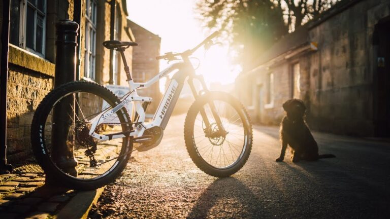 Dream Build E-MTB - Haibike ALLMTN 3.0