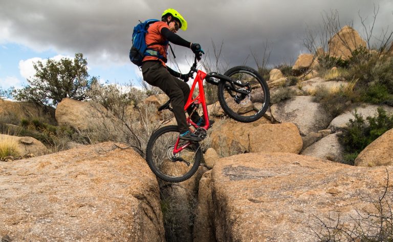 Local Loam: Tucson // Shredding Despite The Federal Government