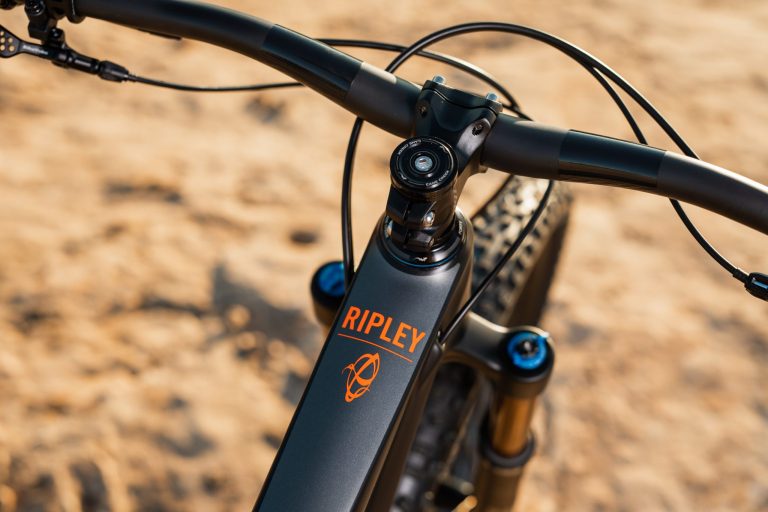 All New 2019 Ibis Ripley
