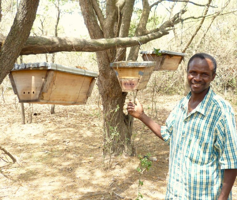 Kilimanjaro Race in Tanzania Funds Agriculture Development