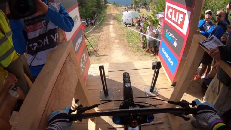 Danny Hart's Winning Run | Snowshoe DH World Cup