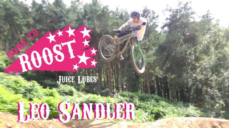 Leo Sandler In 'Home to Roost'