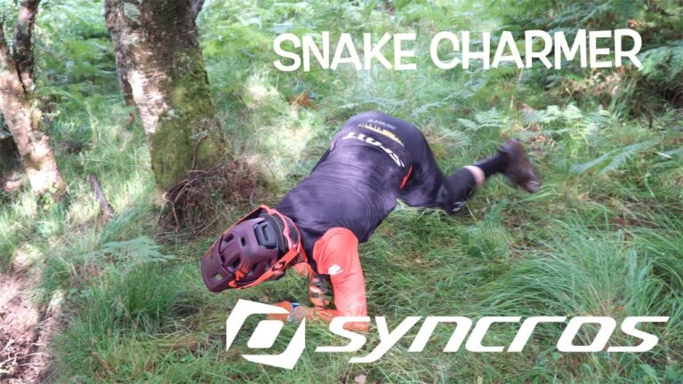 Liam Moynihan Goes In Search Of The 'Brown Snake'