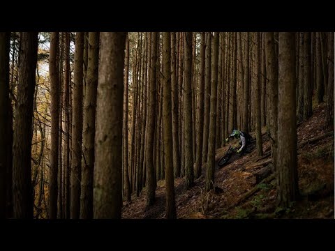Nukeproof Dissent- 2020 Year of the Kestrel