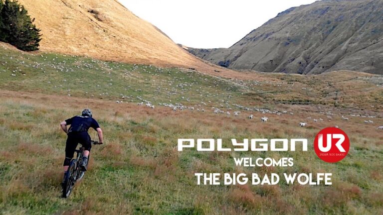 Polygon UR Welcomes Dan Wolfe to the Team
