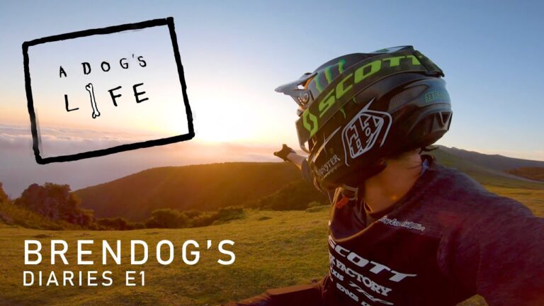 Brendan Fairclough | A Dogs's Life
