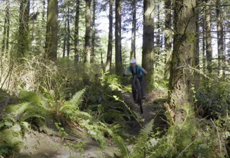 Chromag Stylus Hardtail: how's it corner?