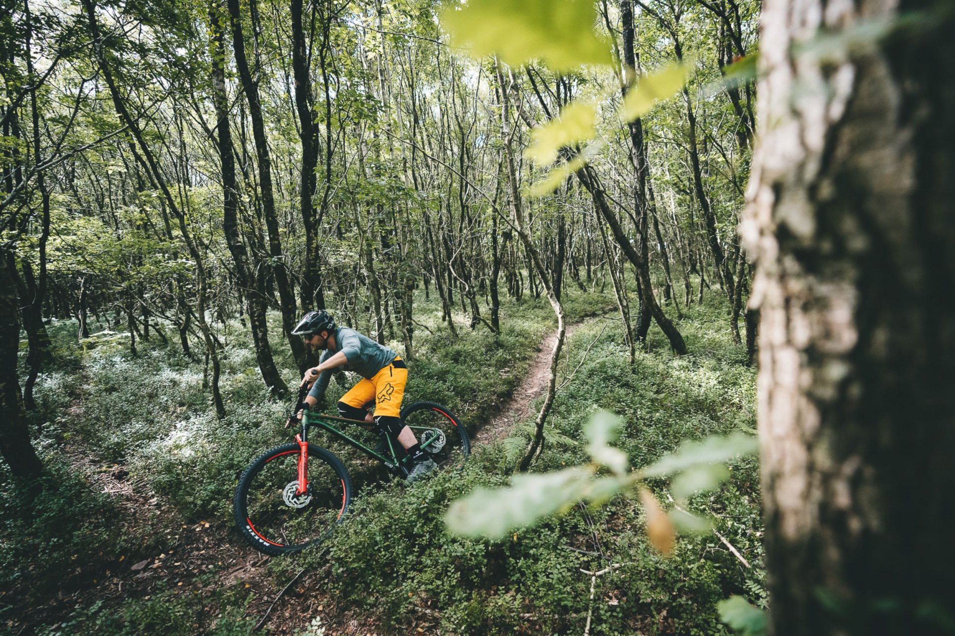 The New MERIDA BIG.TRAIL