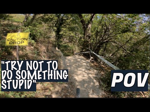 "Try Not To Do Something Stupid" | #MondayMotivation with Jesse Melamed