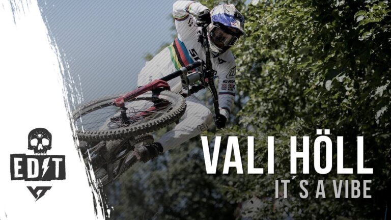 Vali Höll | It's A Vibe