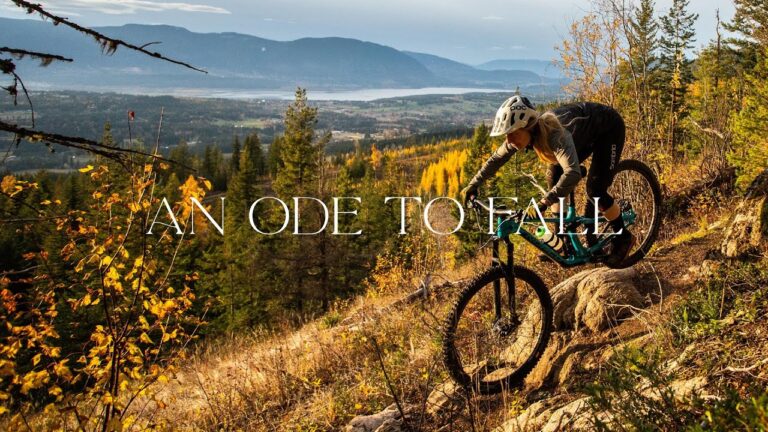 An Ode To Fall