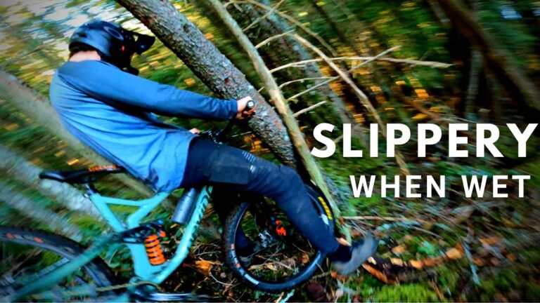 Steve Vanderhoek & Rémy Métailler Ride Some Wild Trails In Squamish