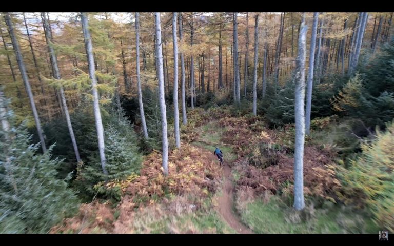 Tree dodging, a broken helmet and deadly compounds - Search for the SLOP Episode 3