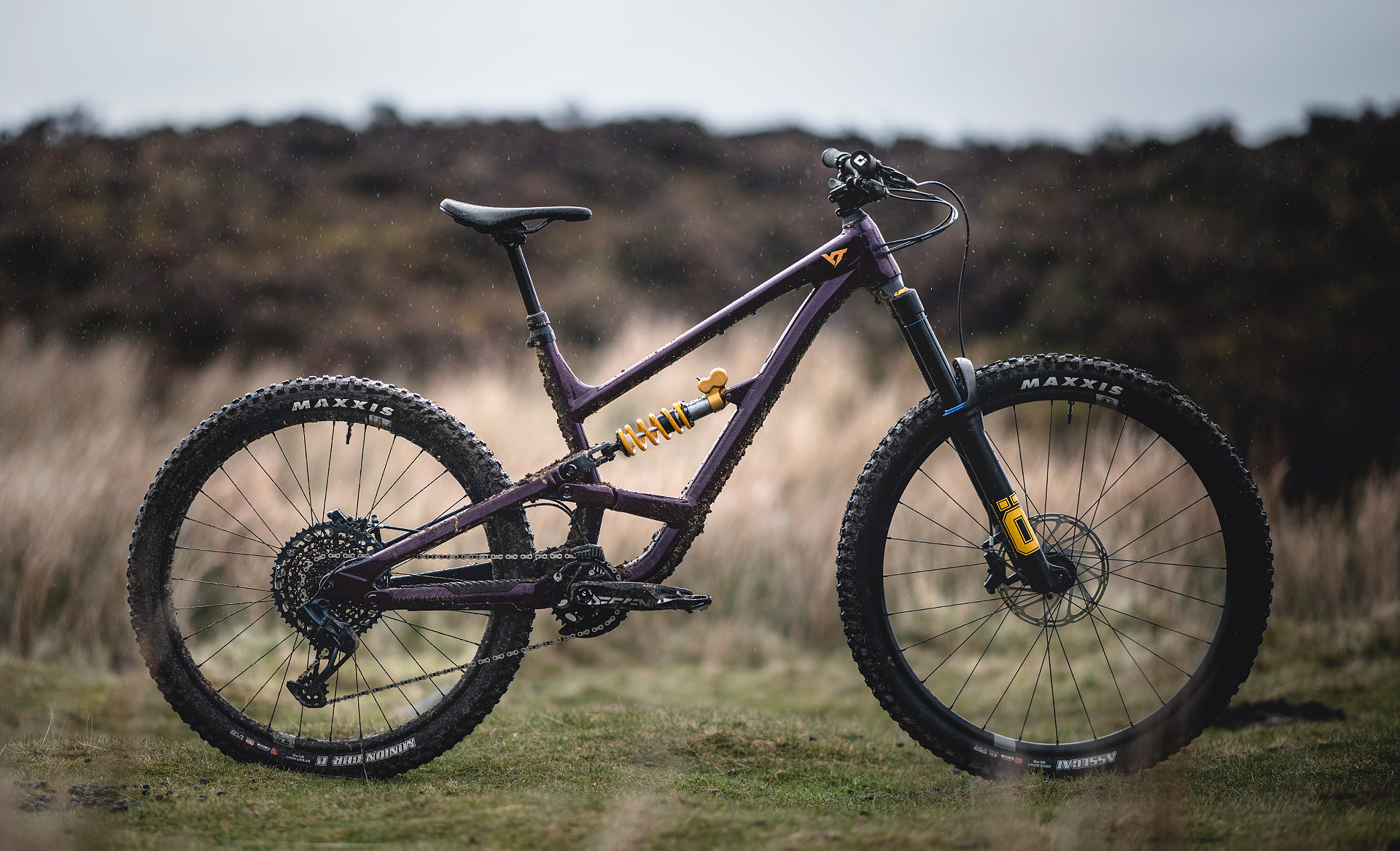 Yt Capra Custom