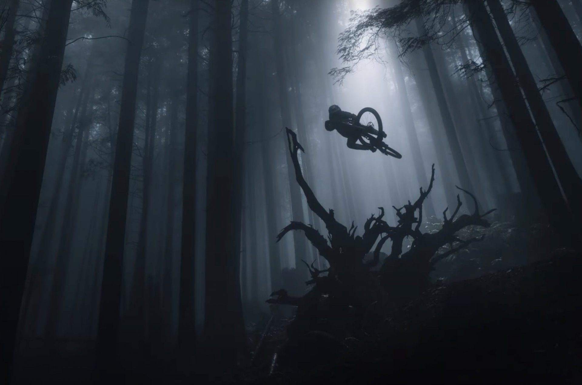 Monday Motivation: LIGHTFALL - A Journey in Photography with Sterling Lorence