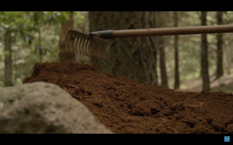 Build It And They Will Come - Madeira