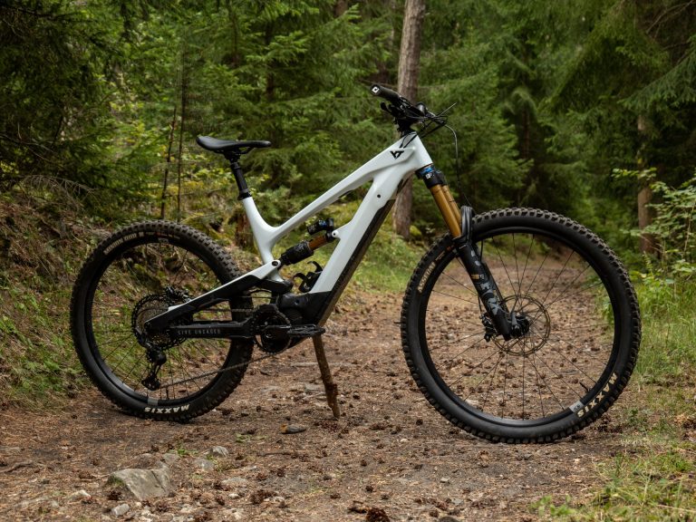 YT Industries Decoy Core 4 MX