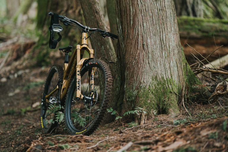 Video: GOLD STANDARD ft. Bryn Atkinson