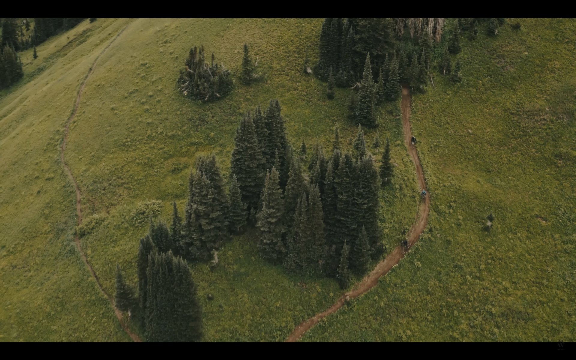 A Canadian Odyssey - Part 4 - The SCOR collective