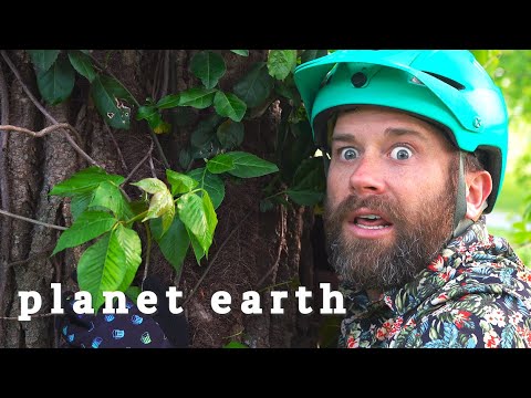 Video: 'Mountain Bike Season'