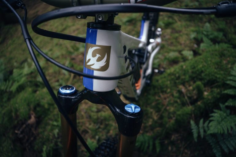 Introducing the PFR LTD Edition Firebird