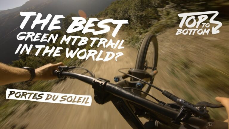 The Most SCENIC Green MTB Trail? Panoramic in Chatel France