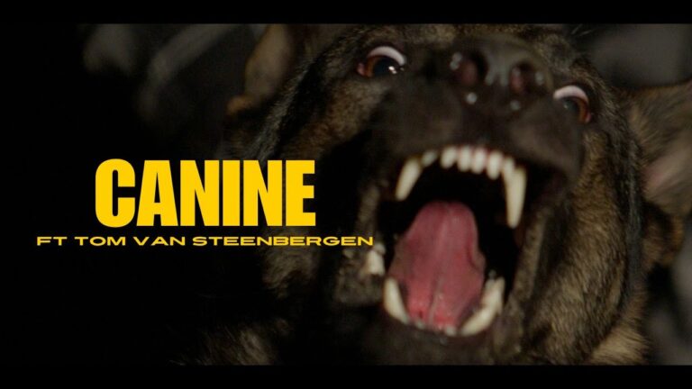 Video: 'Canine' feat Tom Van Steenbergen