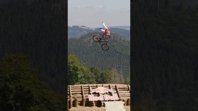 Biking Above The Trees