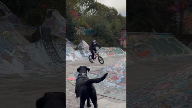 CRAZY DOG AT THE SKATEPARK!!