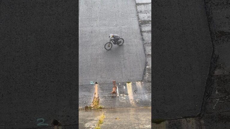 RIDING DOWN INSANE DAM!! #mtb #dog