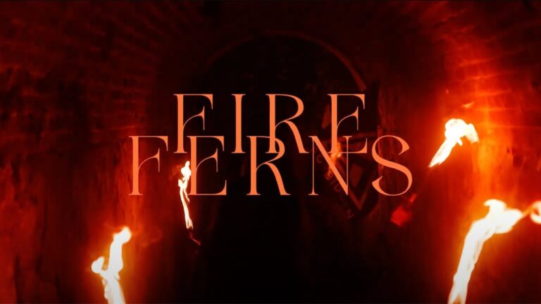 Video: 'Fire Ferns' feat William Robert