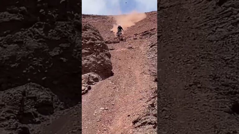 Chilean Freeride is the BEST #looseriders #mtb #freeridemtb #mountainbiking