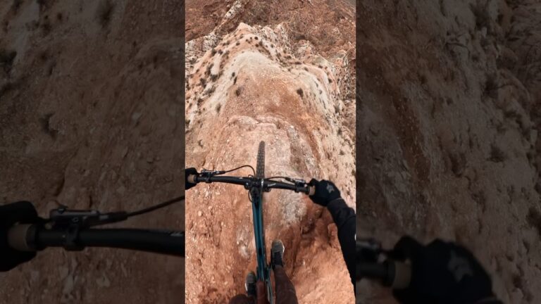 Absolutely DO NOT Crash #mountainbike