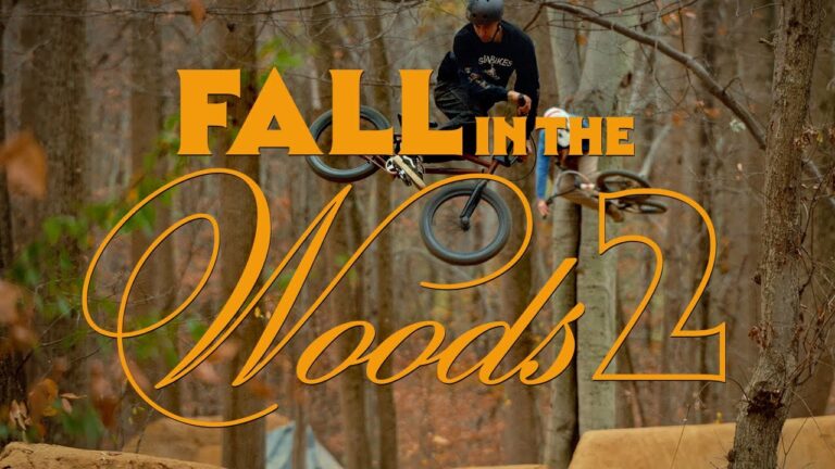 Video: 'Fall in the Woods 2'
