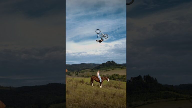 Fabio Wibmer vs Horse