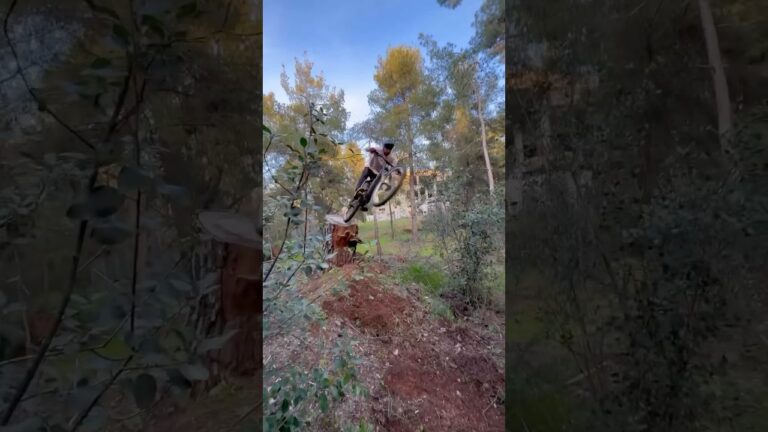 Tree tappin with Phil Atwill #50to01 #mtb